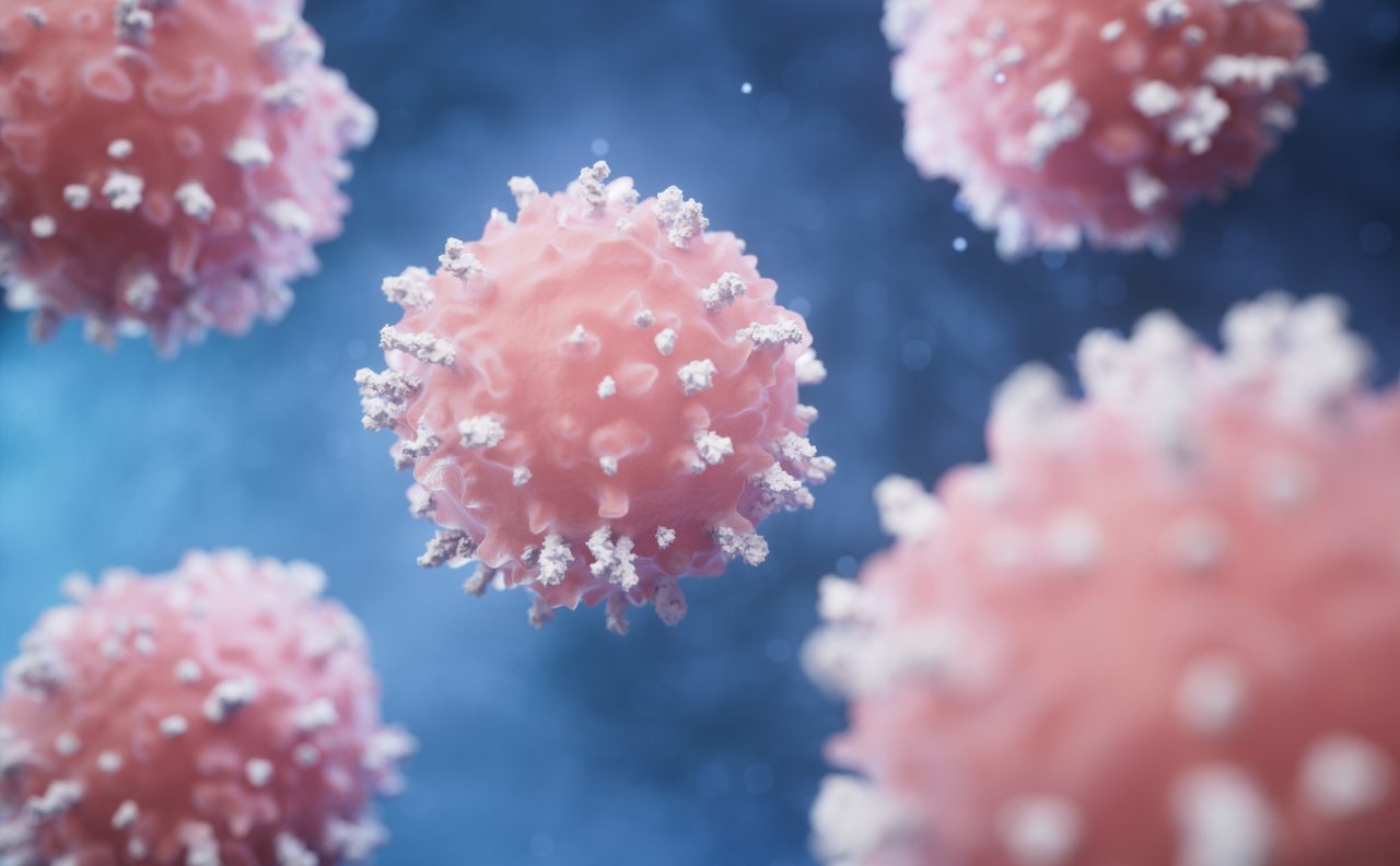 Lymphocytes_and_biological_immune_system