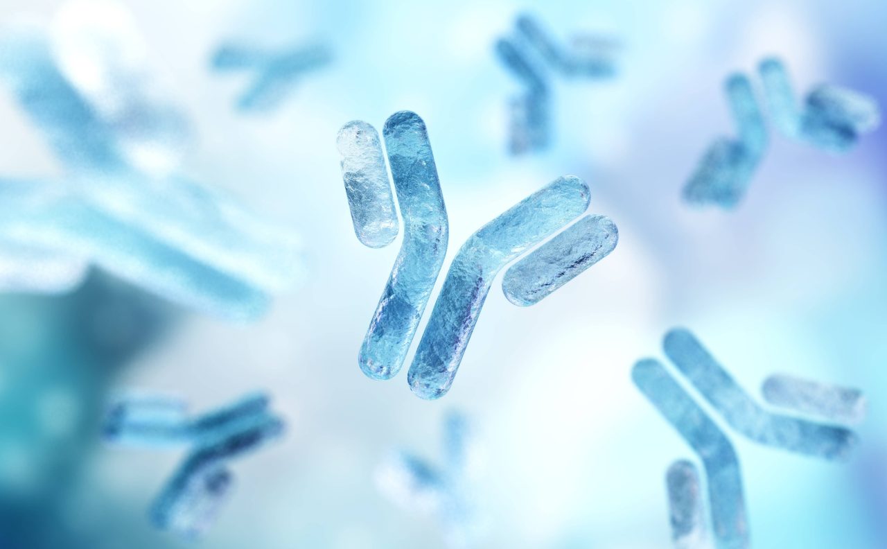 Antibodies_blood_plasma_globular_proteins