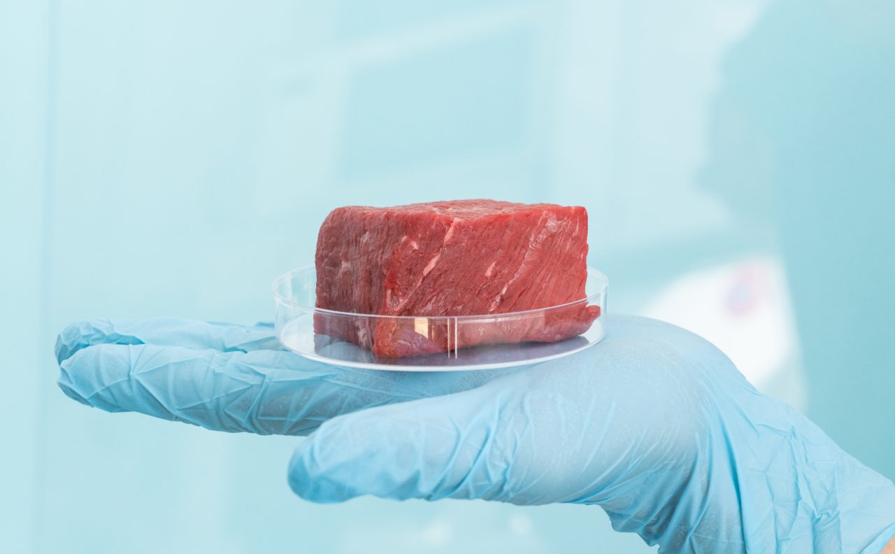 Lab_grown_meat_concept